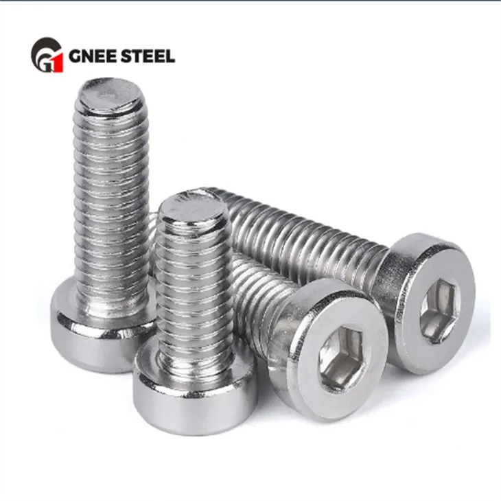 SS201 SS304 SS316 লো হেড হেক্স সকেট বোল্ট